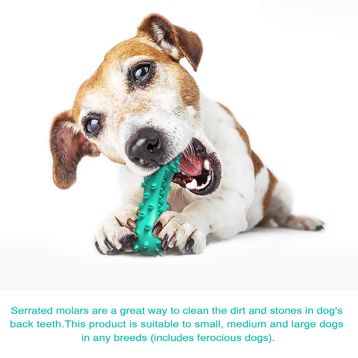 Carllg Juguete con chirrido en extremos: atrae atención y estimula el juego