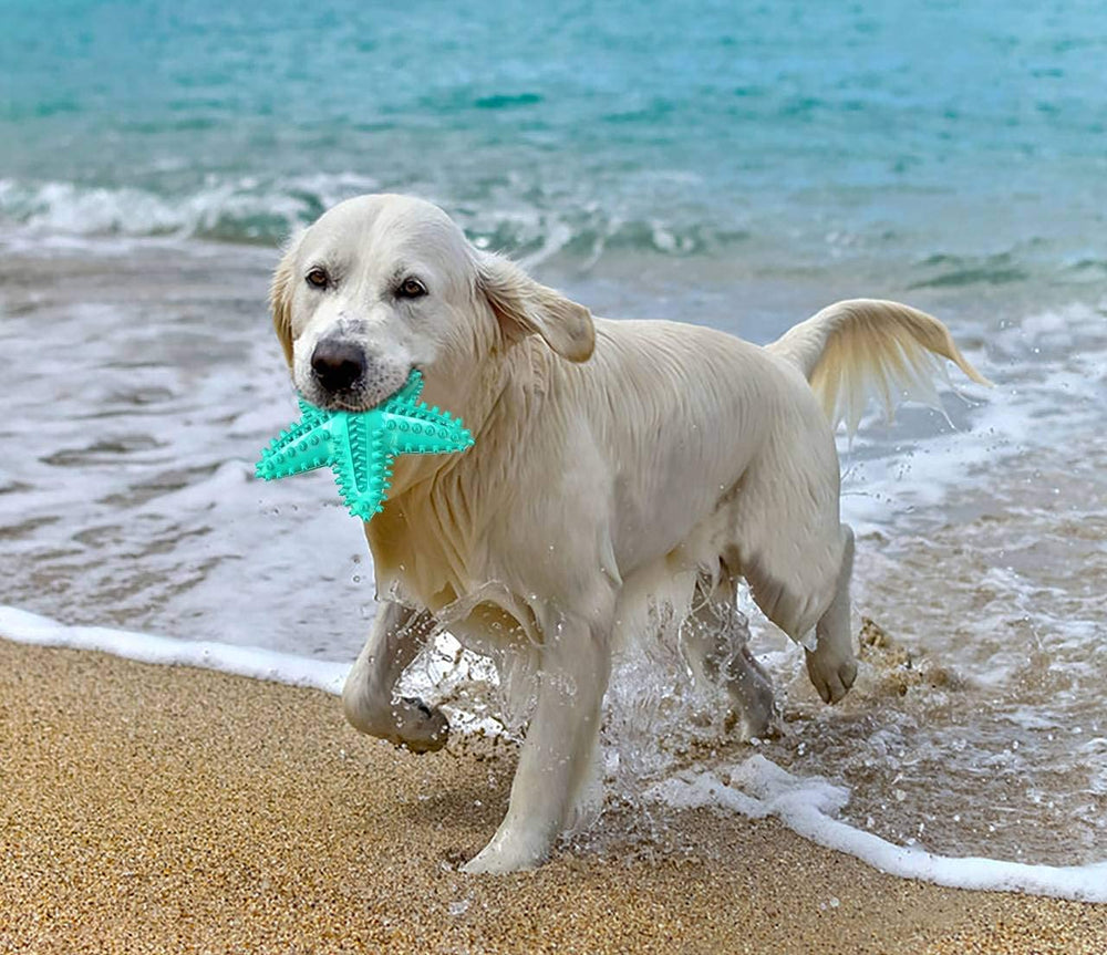 Carllg Juguete estrella de mar para cachorros, diseñado para crecimiento y juego.