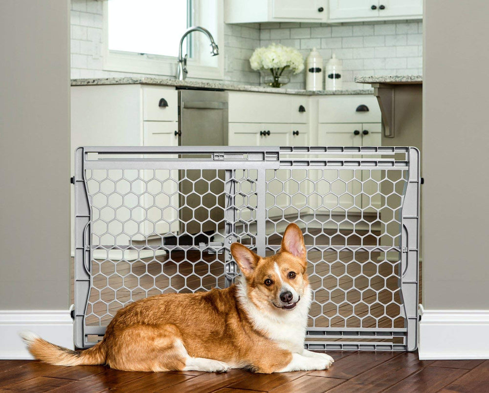 Carlson Pet Products Puerta con montaje a presión evita taladros y protege paredes.