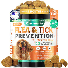Carmelie bote protege a perros contra garrapatas con solución natural.