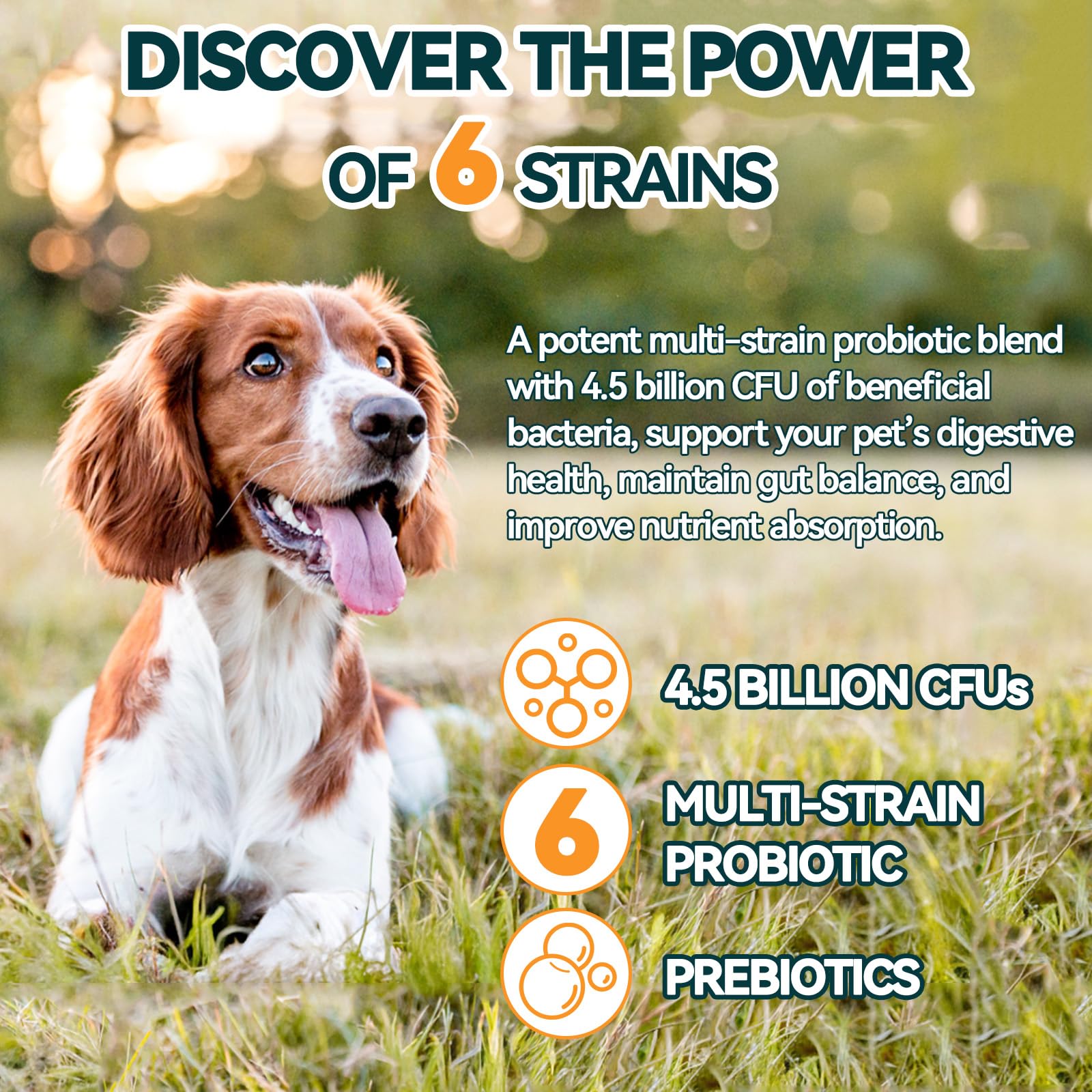 Calabaza natural Carmelie Probióticos para perros, ayuda digestiva suave.