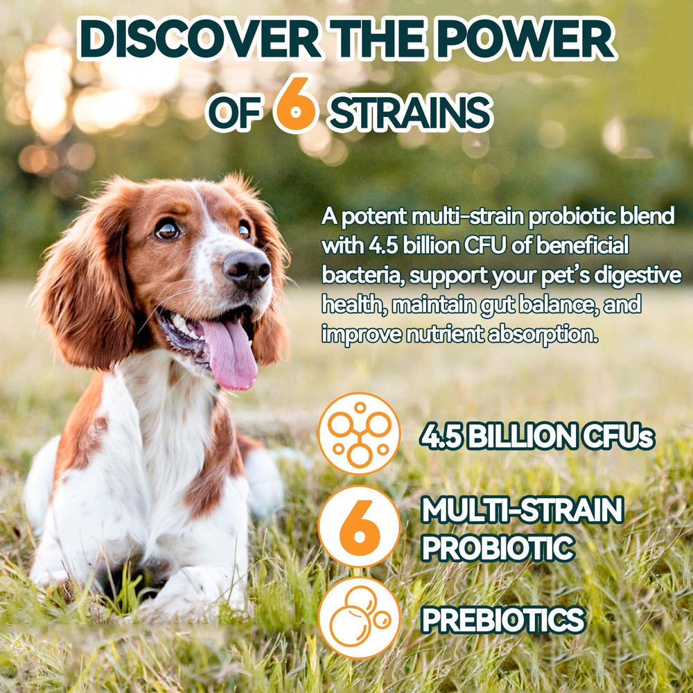Calabaza natural Carmelie Probióticos para perros, ayuda digestiva suave.