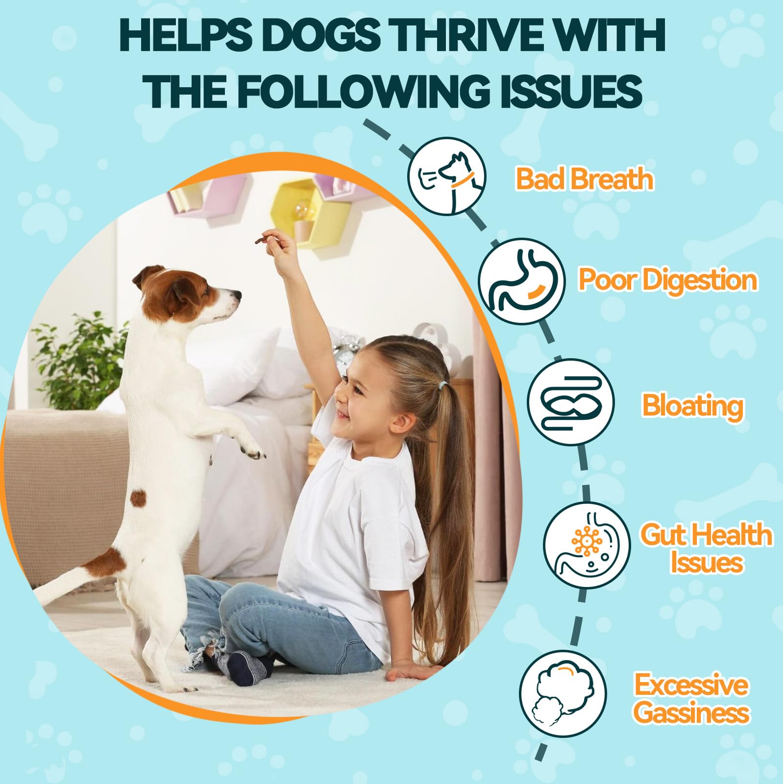 Fibra natural en Carmelie Probióticos para perros, apoyo digestivo.