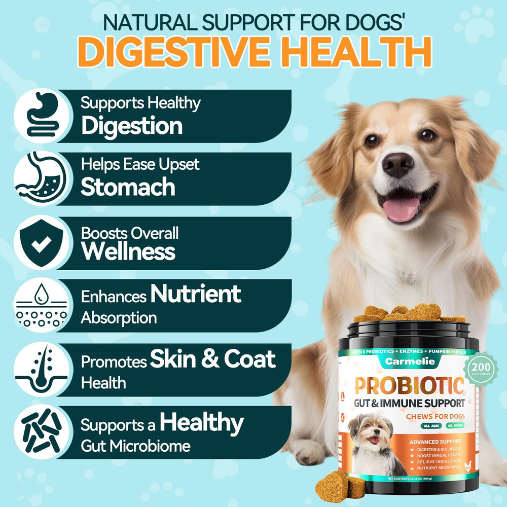 Gomitas Carmelie Probióticos para perros, digestivas y fáciles de masticar.