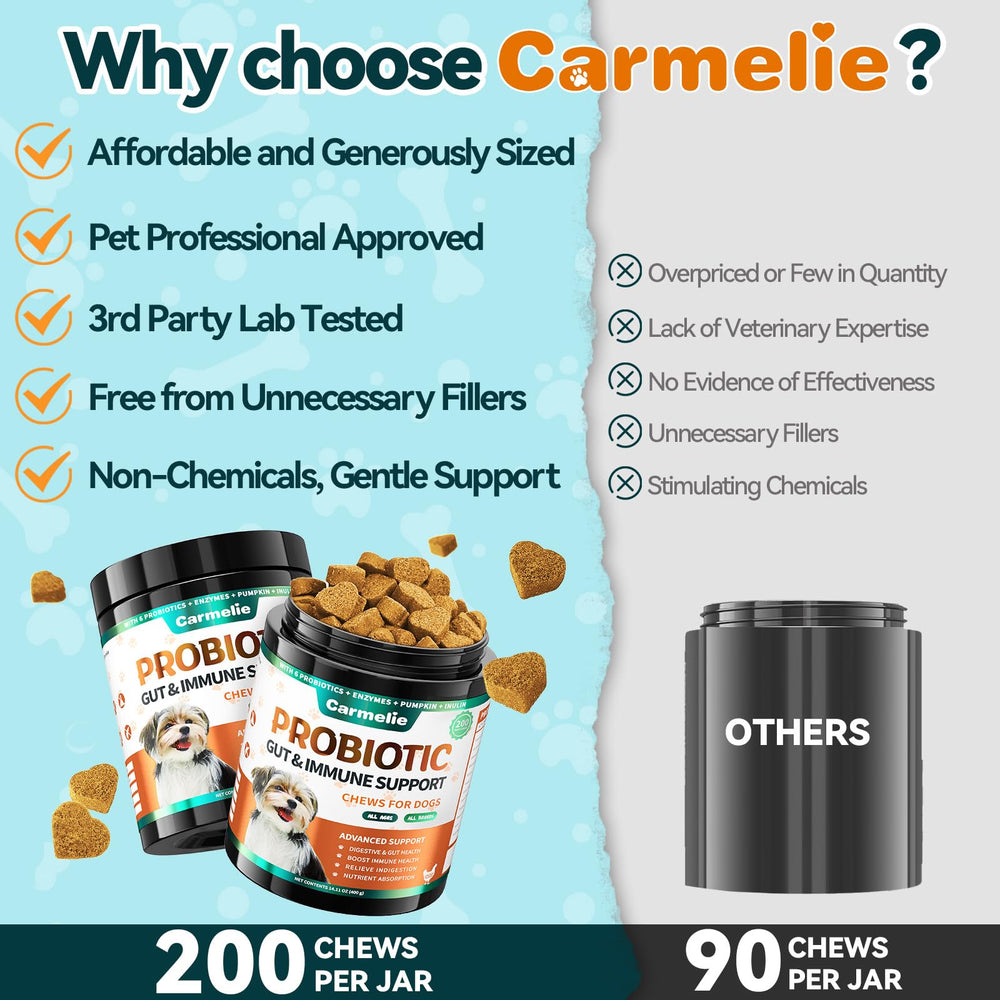 Vida más activa para tu perro con Carmelie Probióticos.