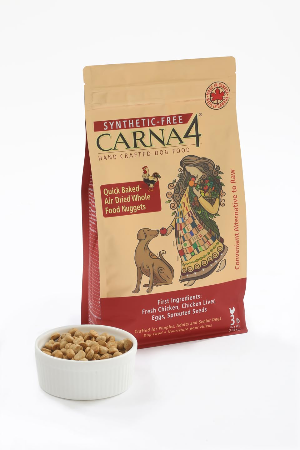 CARNA4 plato servido, perro degustando comida equilibrada en casa