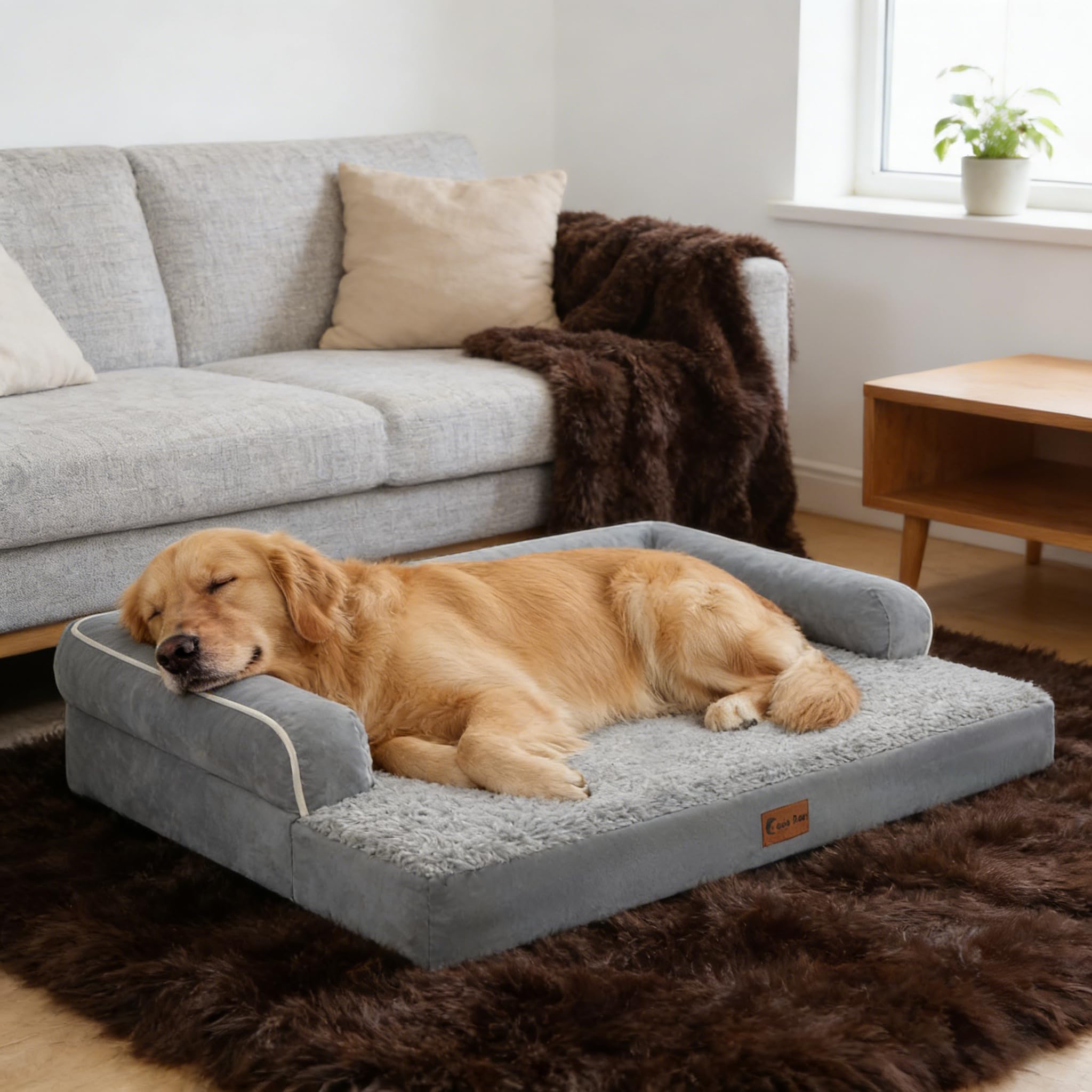 Casa Paw cama ortopédica XXL con laterales de apoyo para mayor confort.