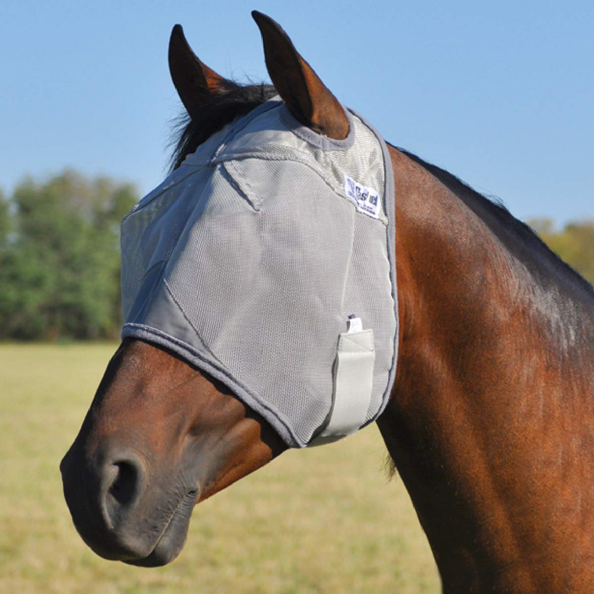 Cashel Crusader con visión clara, diseño de tres orificios para campo visual natural