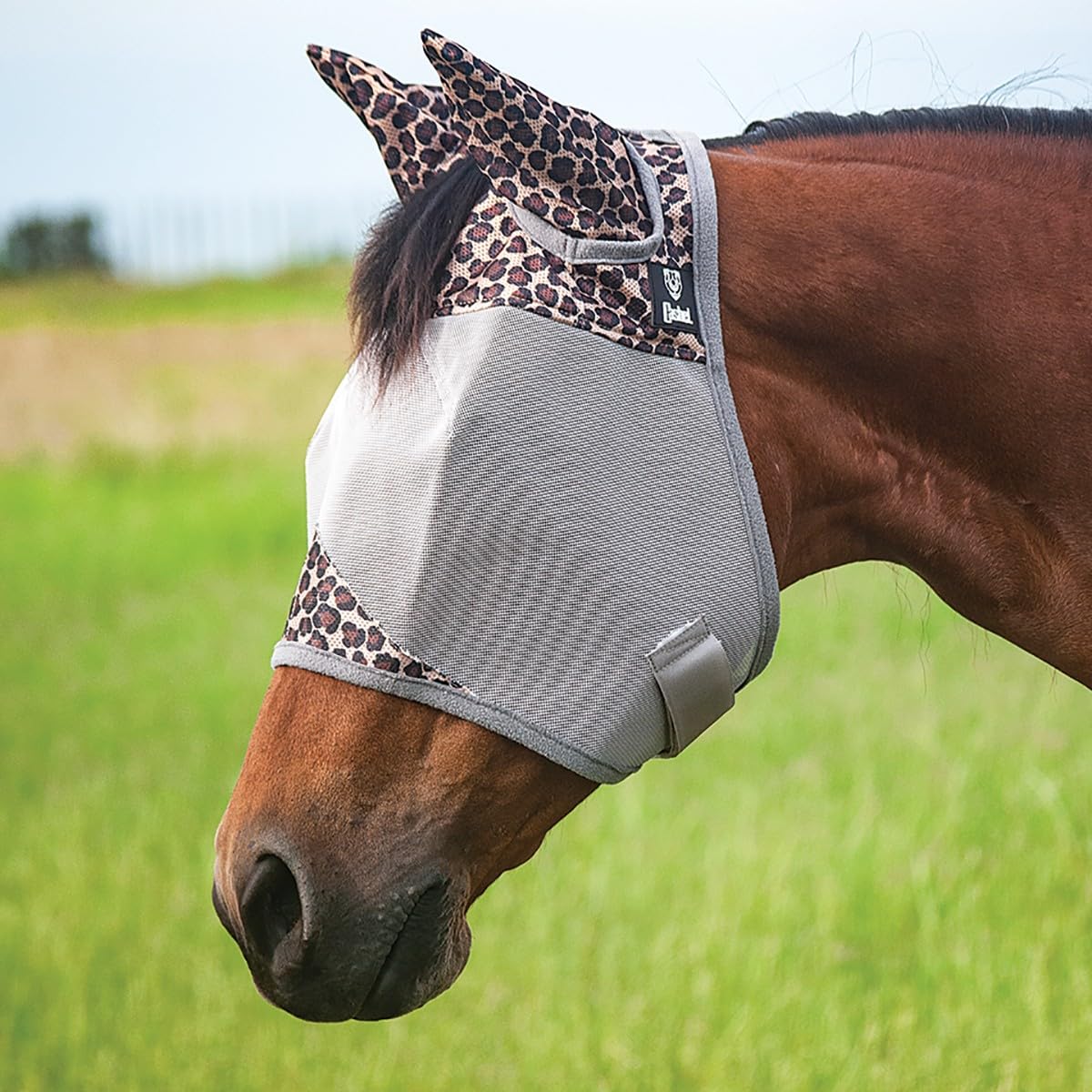 Cashel Crusader Tejido Respirante para Caballo Leopard: uso cómodo en paseos y entrenamientos