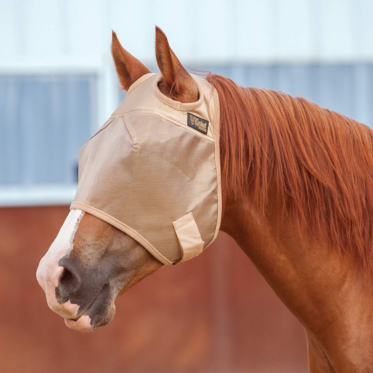 Cashel Econo Malla Antiinsectos para Caballo sin orejas ofrece ajuste cómodo y mayor visibilidad