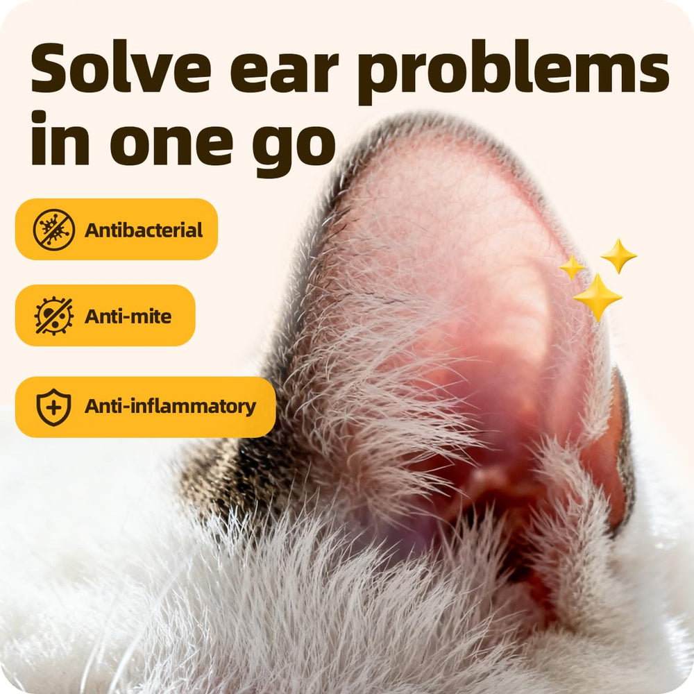 Cassiel Pet Ear Drops application on cat, ideal for cats' ear hygiene.