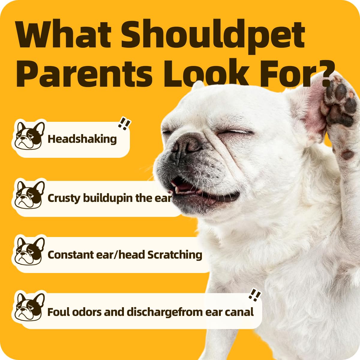 Cassiel Pet Ear Drops application on dog, supports comfortable ears during routine care.
