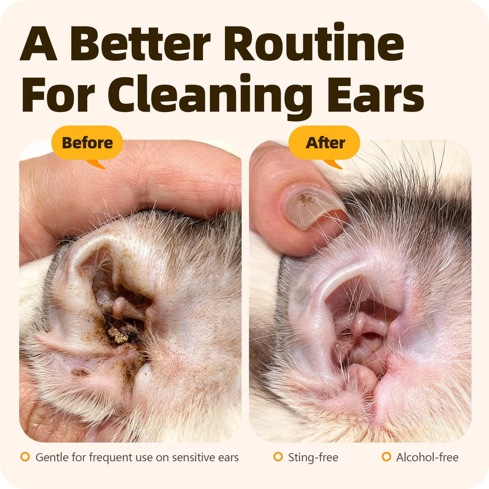 Cassiel Pet Ear Drops liquid closeup, natural ingredients for gentle cleansing.
