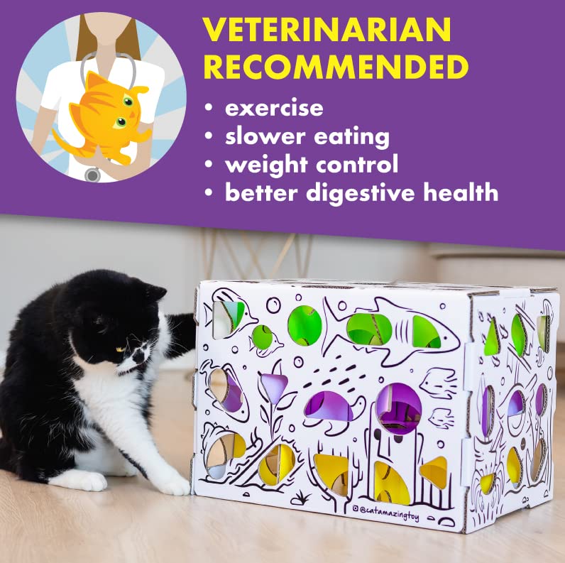 Cat Amazing MEGA: regalo ideal para enriquecer la vida de un gato