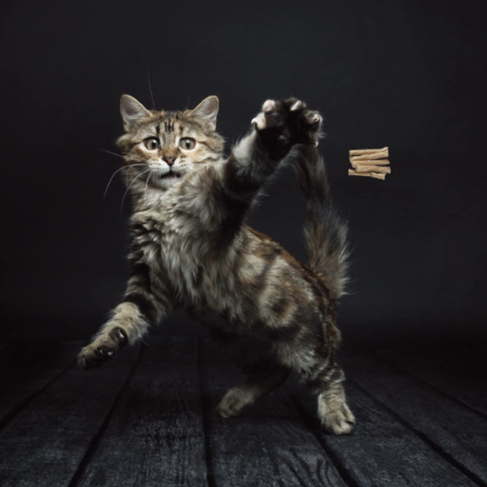 Cat Dancer: alambre flexible que invita a perseguir y ejercitarse con seguridad.