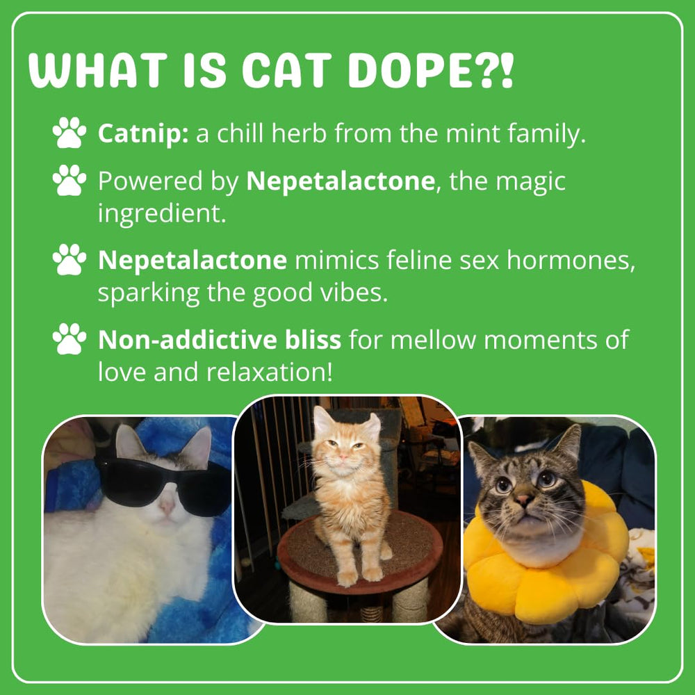 Cat Dope Catnip: textura seca ideal para esparcir en juguetes y estimular juego interactivo.