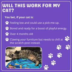 Cat Dope Catnip: gatos jugando, energía natural para explorar.
