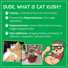 Cat Kush Catnip aroma natural: estimula interés por juguetes y postes