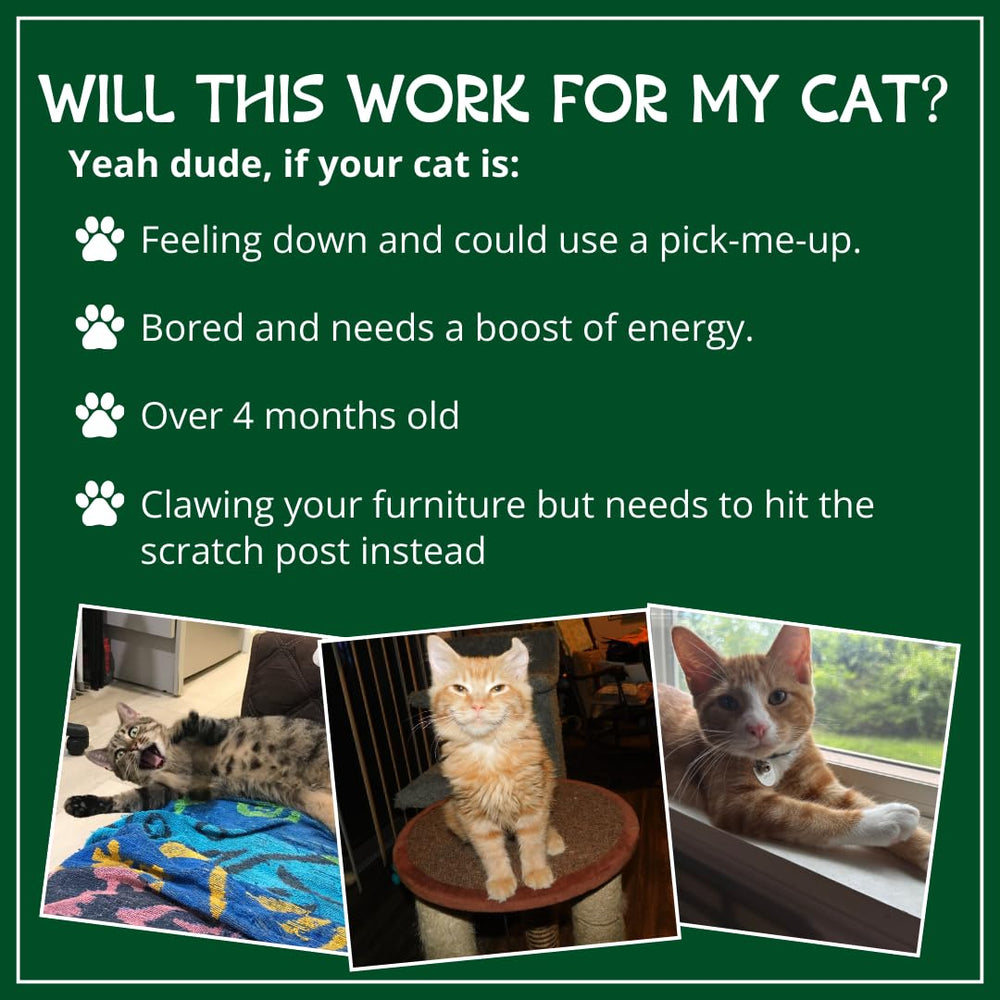 Cat Kush Catnip para juego: anima al gato a rascar y explorar