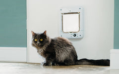 Cat Mate: Lector de microchip que identifica a tu gato al pasar
