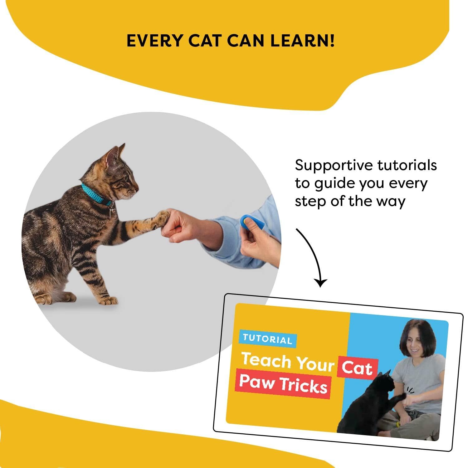 CAT SCHOOL kit-entrenamiento-gatos-completo: sesiones positivas y enriquecedoras