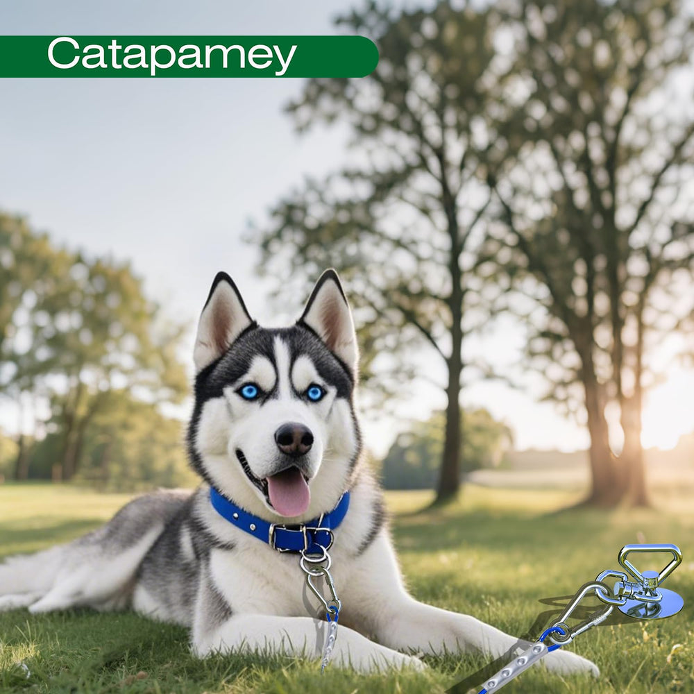 Catapamey solución portátil para mascotas durante salidas al aire libre.