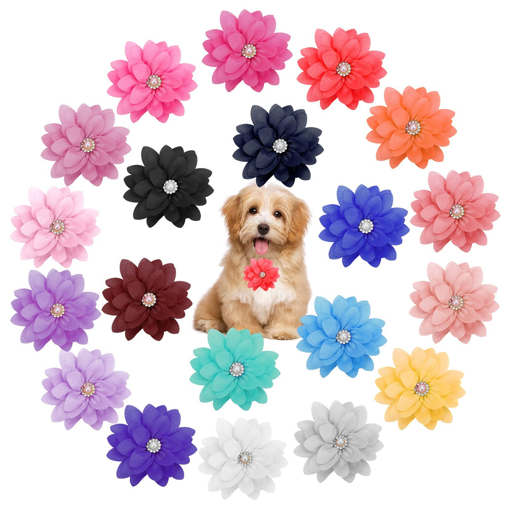 Catcan flor collar perlas: accesorio elegante para realzar la apariencia de tu mascota.