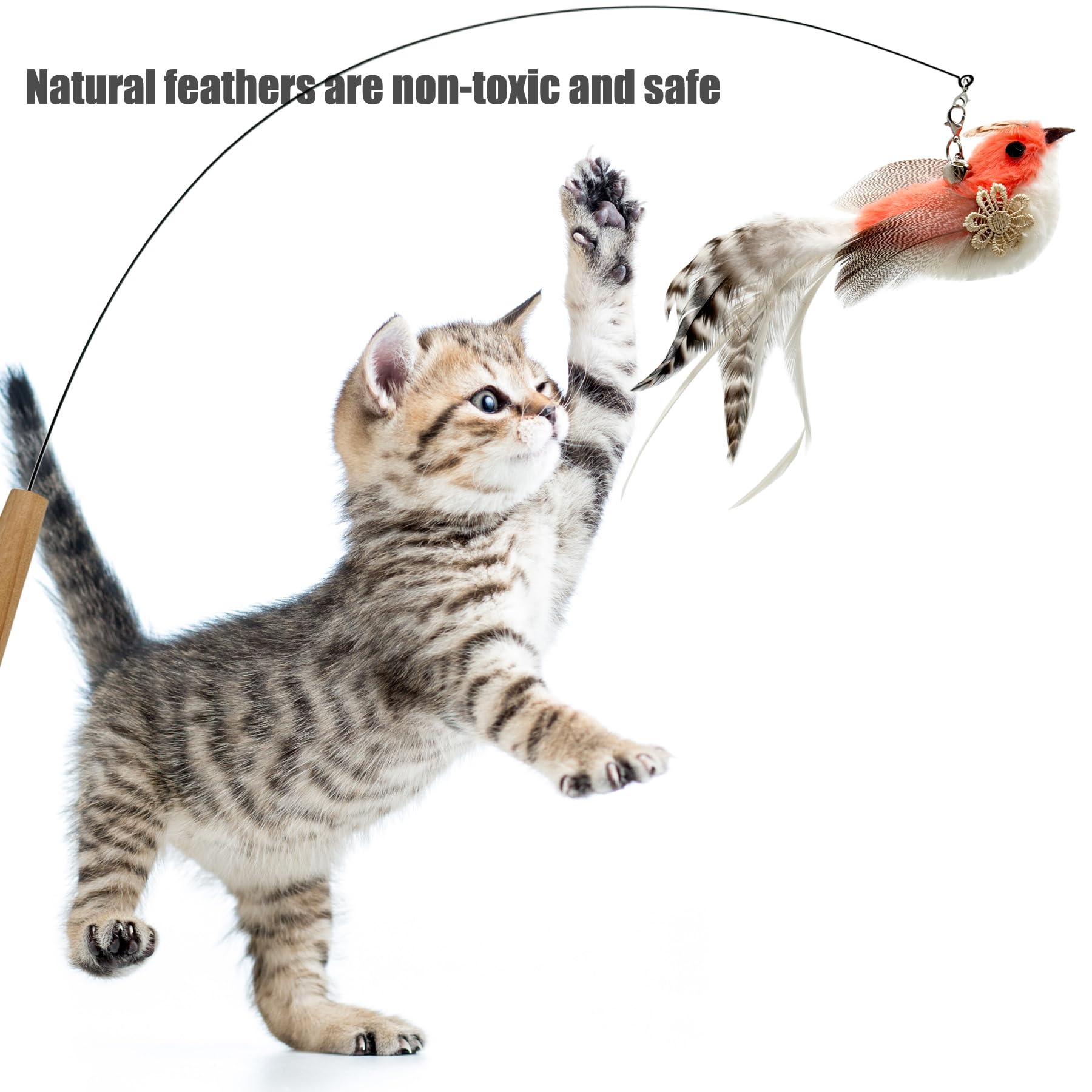 CATENEED accesorios de varita con 5 plumas, ideal para estimular curiosidad felina.