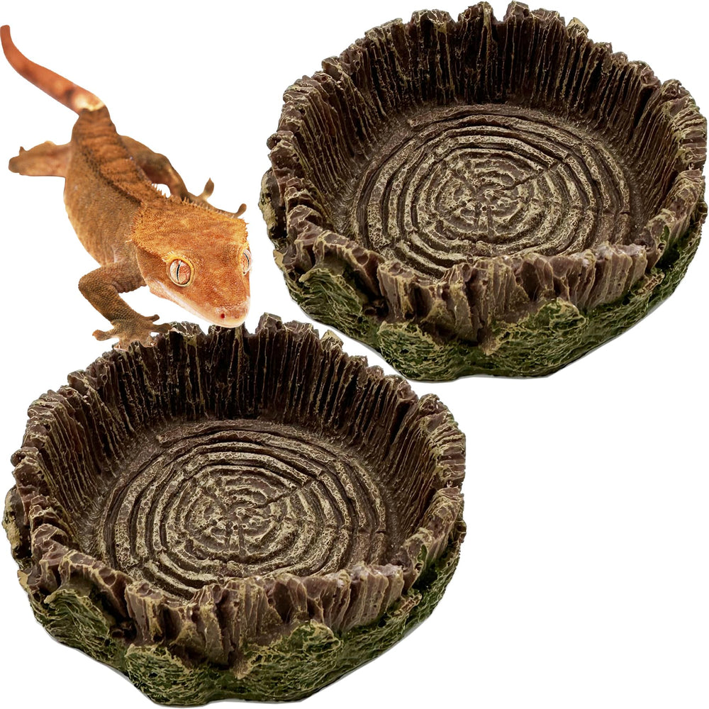 CATENEED plato alimento reptil pequeno terrario ideal para comidas diarias sin desorden