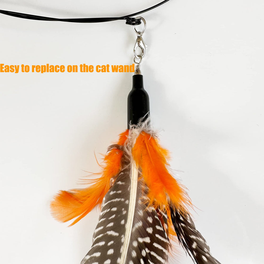 CATENEED plumas Da Bird de 20 cm para persecución.