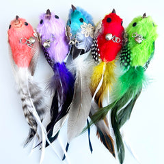 CATENEED juego de plumas para interiores, perfecto para sesiones de juego cortas.