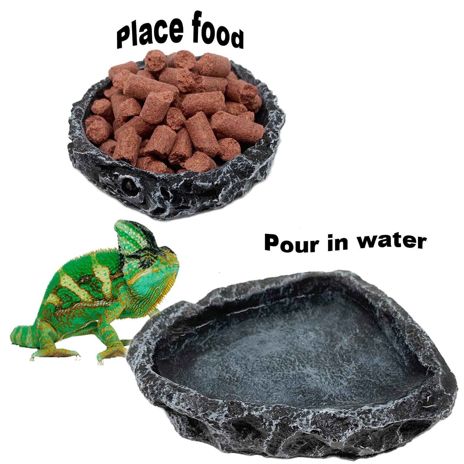CATENESS bol eau reptile coin terrarium, hydratation pratique au quotidien