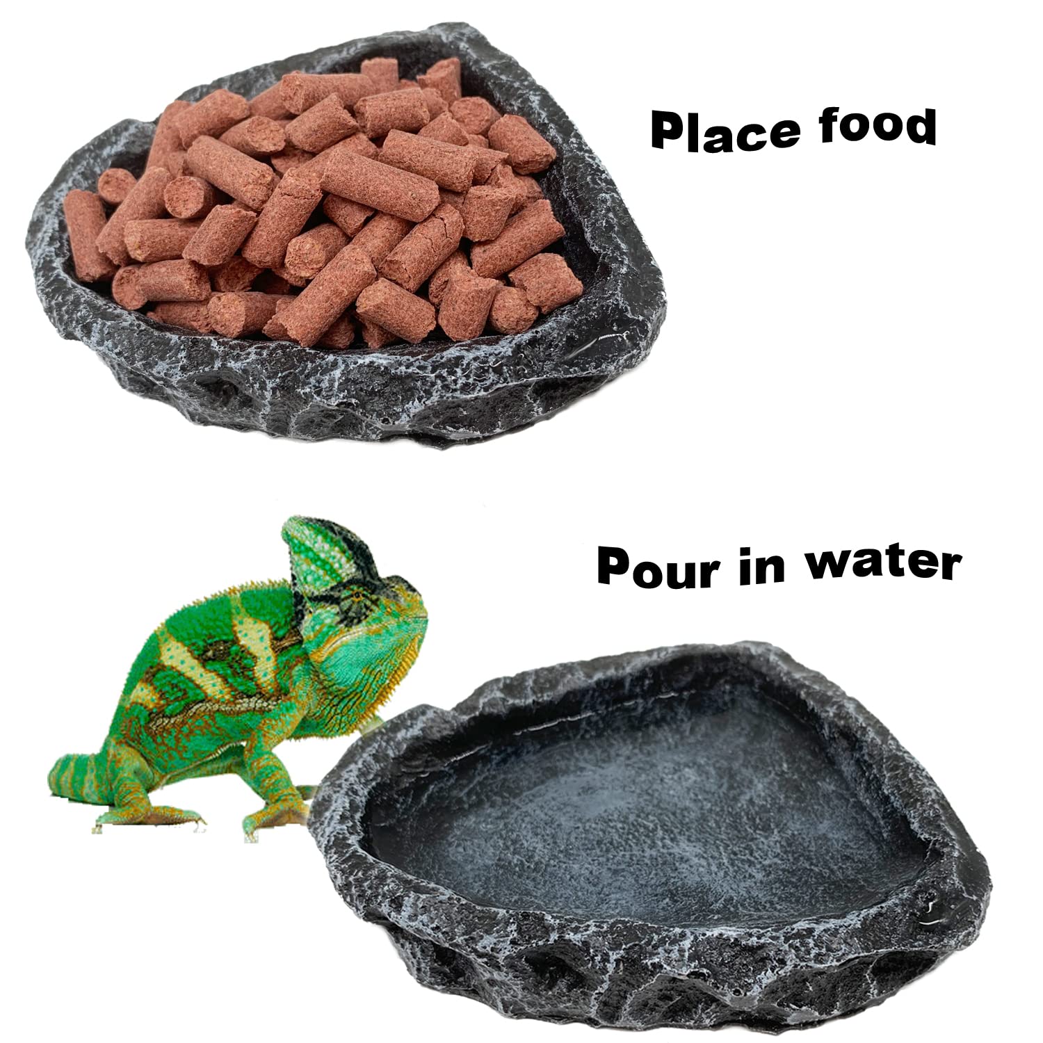 CATENESS design roche pour terrarium, bol s'intégrant au décor