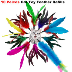 CATENESS plumas con campana, estimulan atención y instintos de tu gato.