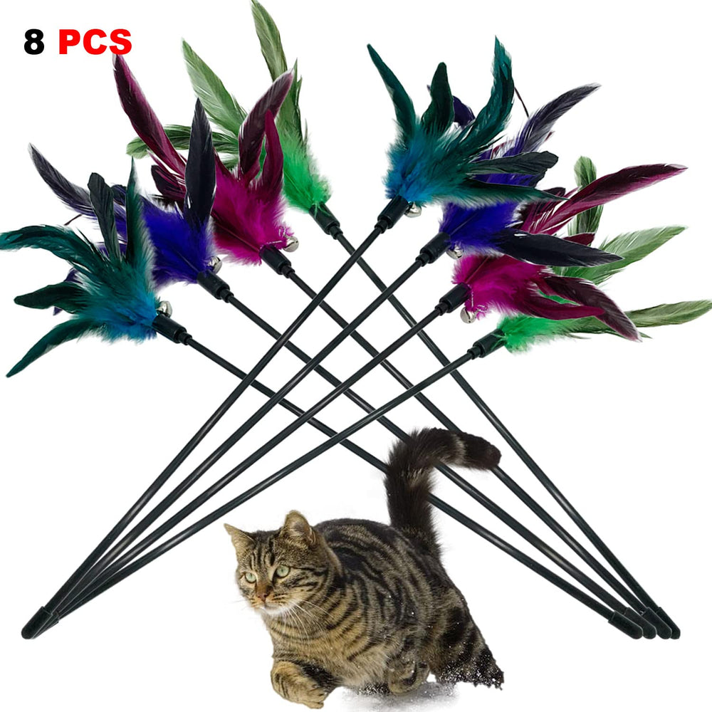 CATENESS uso en interiores: perfecto para gatos de interior gracias a la interacción.