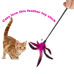 CATENESS varita-gato en acción: fomenta ejercicio y exploración segura.
