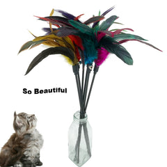 CATENESS varita de gato con campanilla para captar atención felina.