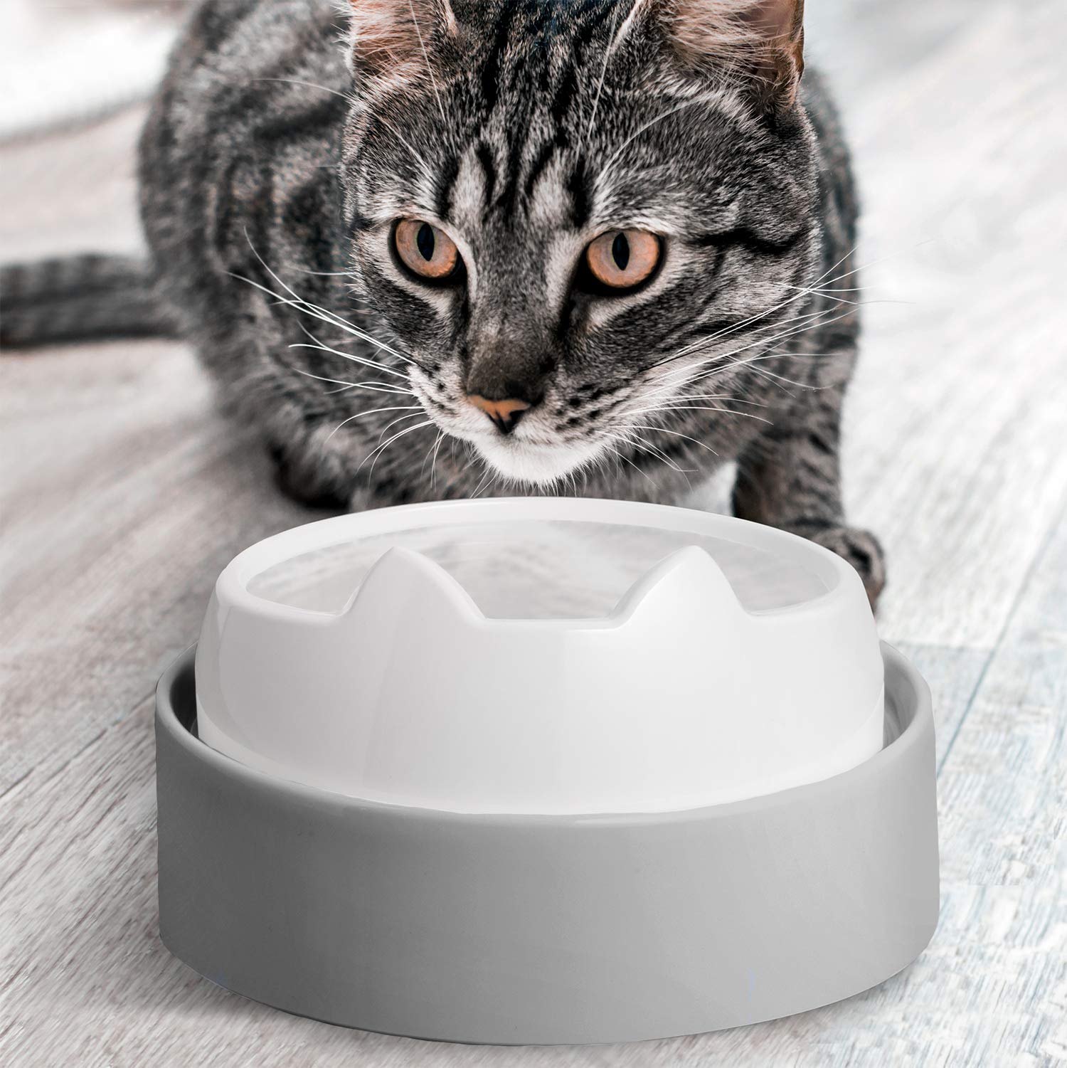 CatGuru Mesa de Alimentación para Gatos acento gris en interiores.