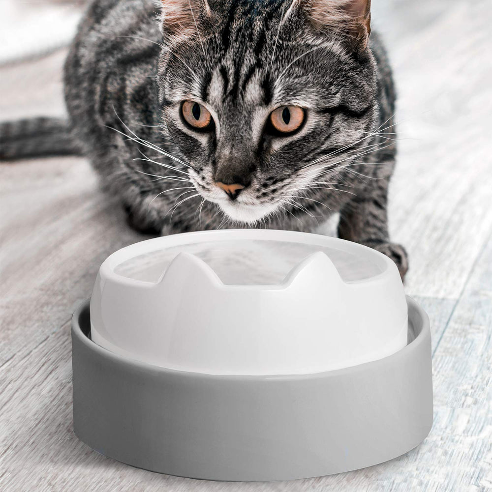CatGuru Mesa de Alimentación para Gatos acento gris en interiores.