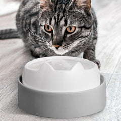 CatGuru Mesa de Alimentación para Gatos acento gris en interiores.