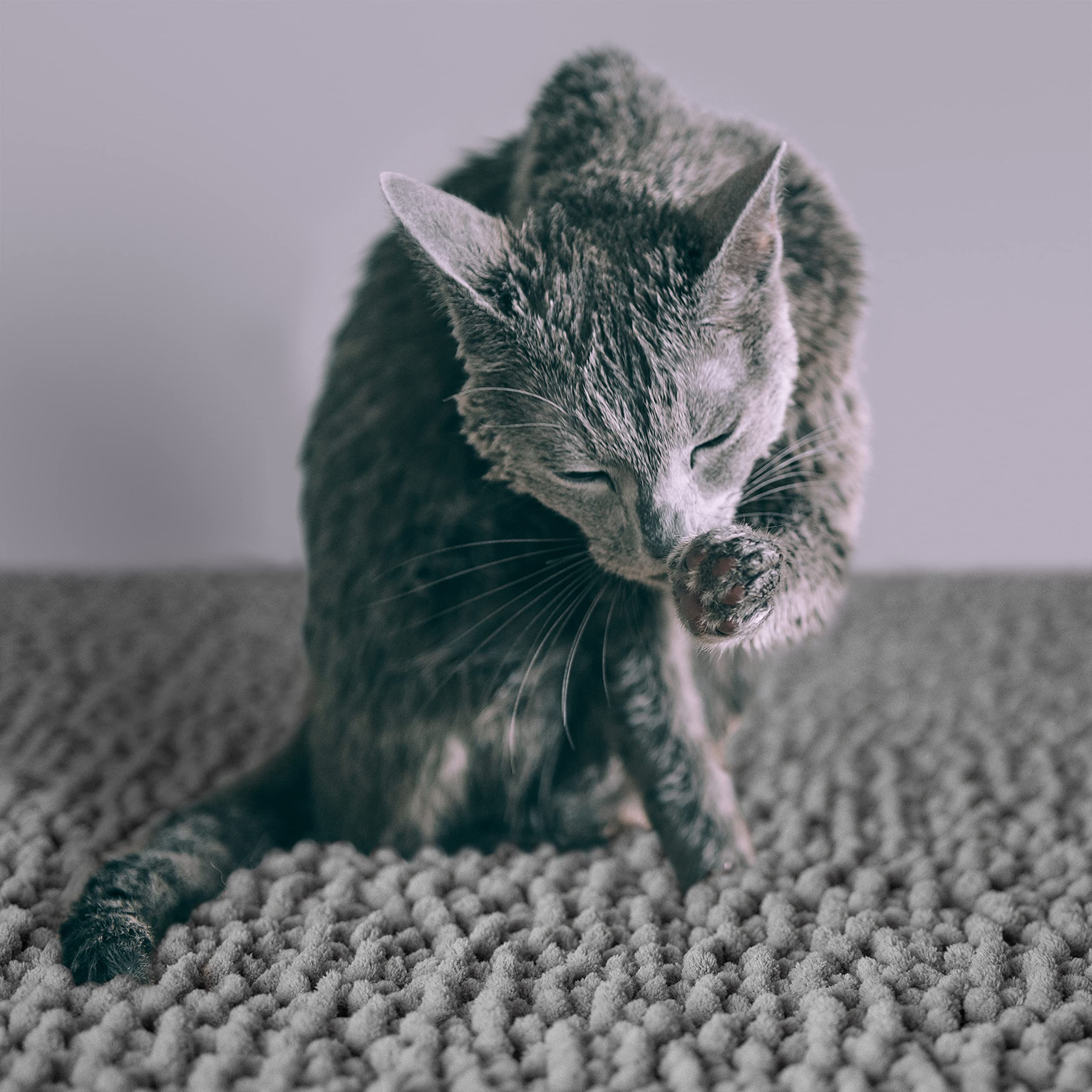 CatGuru base antideslizante para alfombrilla de arenero gris