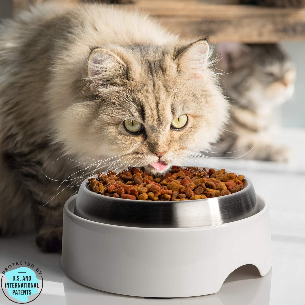 CatGuru estructura estable mantiene cuencos seguros durante la alimentación