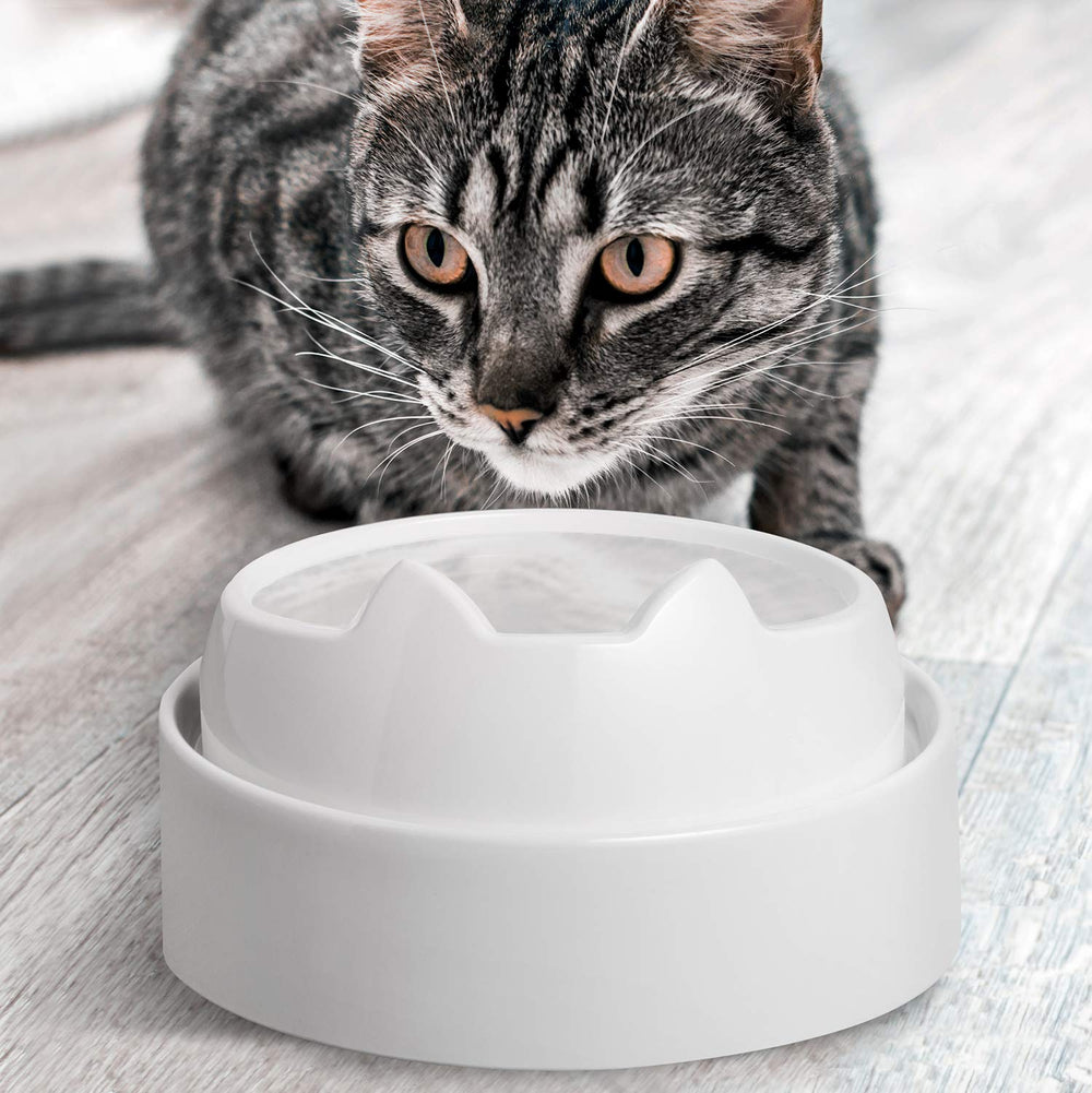 CatGuru eleva los cuencos para comer con mayor comodidad