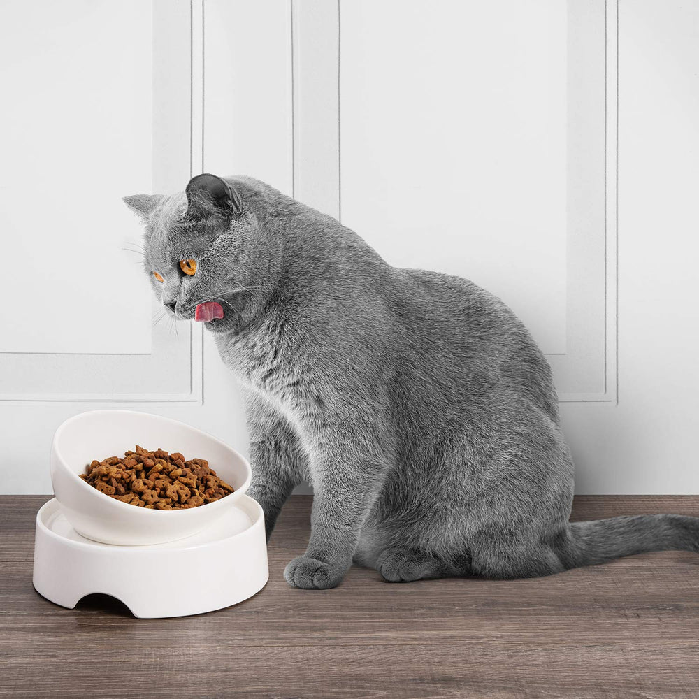 CatGuru es ideal para gatos adultos que comen con comodidad