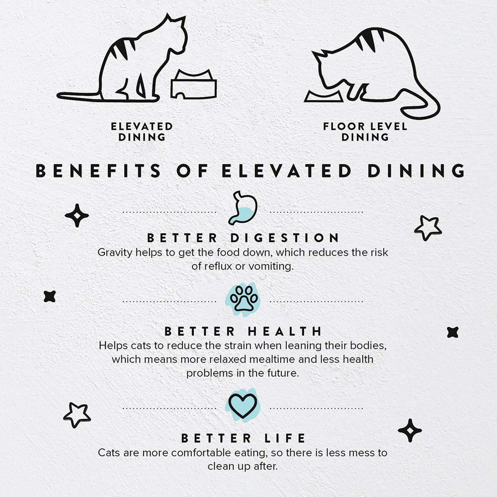 CatGuru mesa ergonómica mejora la postura de gatos durante la comida