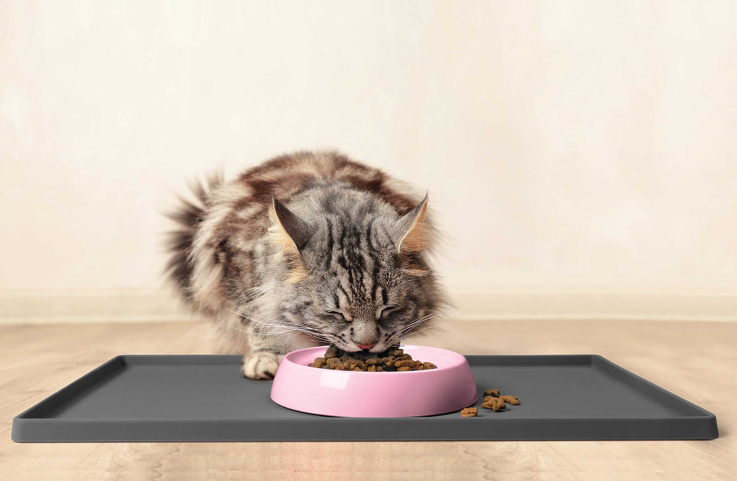 CatGuru lavado fácil, apto para lavavajillas, limpieza rápida.
