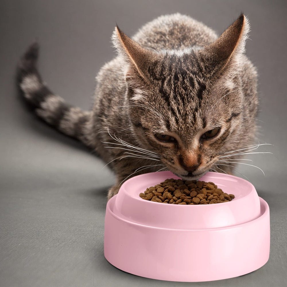 CatGuru melamina sin BPA en rosa, duradera para uso diario.