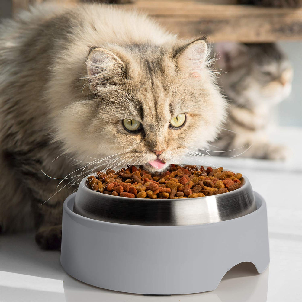 CatGuru Mesa de Alimentación para Gatos evita derrames al mantener cuencos estables.