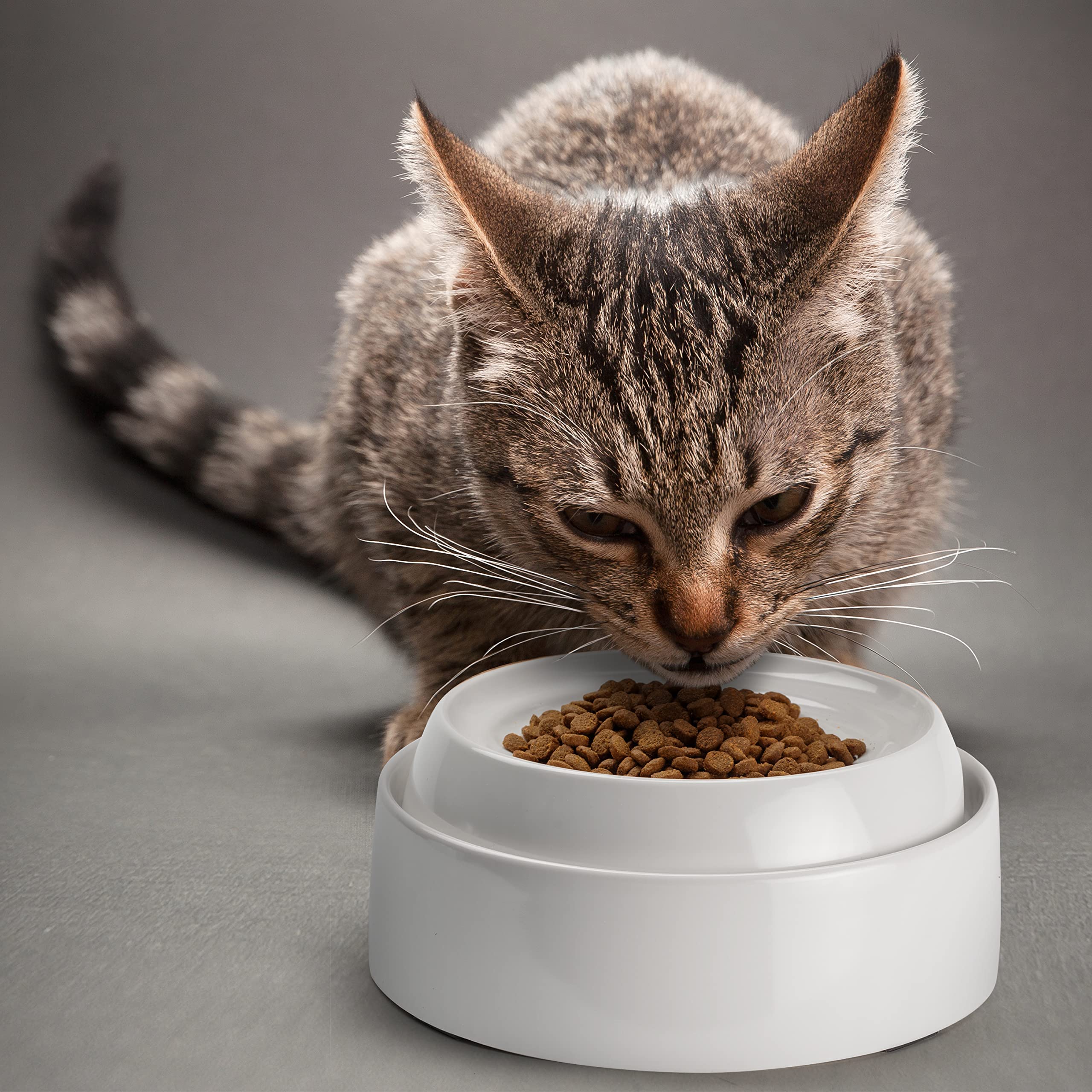 CatGuru tazones para gatos libre de BPA por seguridad y tranquilidad
