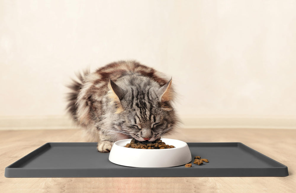 CatGuru tazones para gatos con material seguro y libre de plomo
